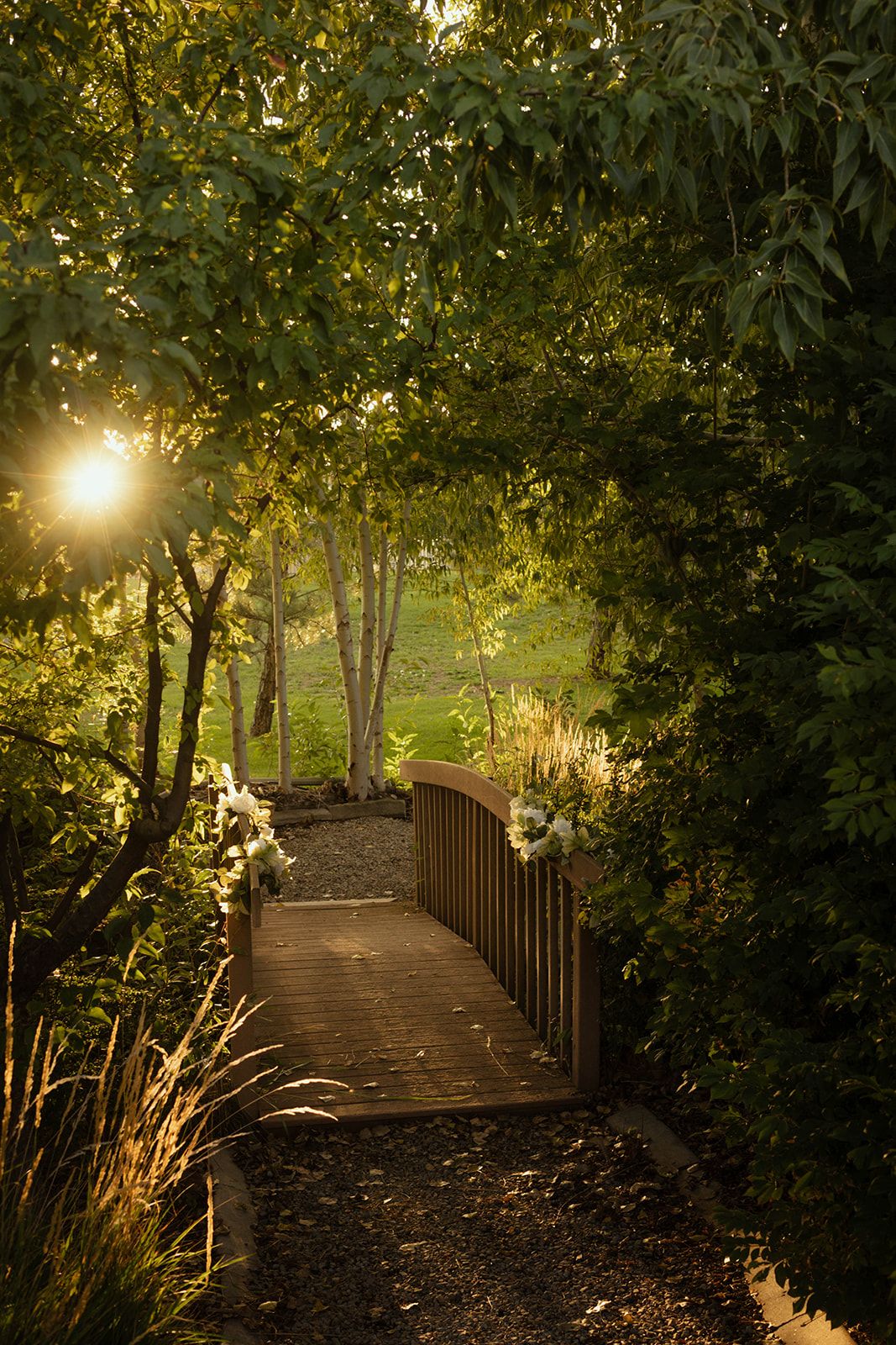 Garden path with a wooden railing winding through trees and shrubs, lit by a glowing lamp at dusk